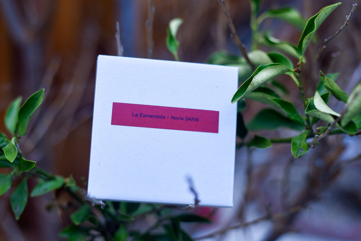Terraform Coffee Drop